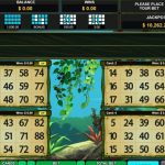 Unexpected Bingo Strategies That Actually Work